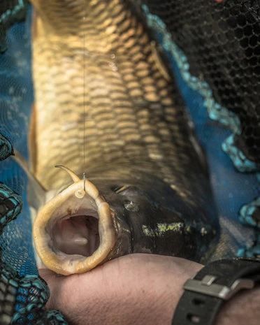 Schepnet 16" Match Landing Net - Preston 3 Schepnet 16" Match Landing Net - Preston - Afbeelding 3