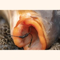 Fox Carp - End Tackle Flippas Tungsten - Fox Carp -Vissen Verkoopwinkel 1266239791