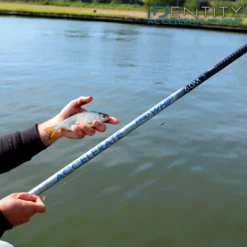 Cresta - Vaste Hengel Identity Accelerate Pro Whip - Cresta -Vissen Verkoopwinkel 1590479701