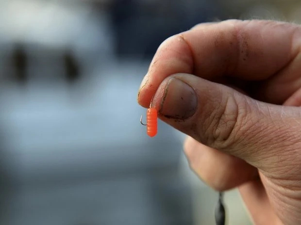 Cresta - Kunstaas Spaghetti Worms - Cresta 2 Cresta - Kunstaas Spaghetti Worms - Cresta - Afbeelding 2