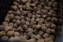 Dreambaits - Pellets Instant 10mm D-Cell+ - Dreambaits 5 Dreambaits - Pellets Instant 10mm D-Cell+ - Dreambaits -Vissen Verkoopwinkel 1857265860