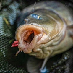 Korum - Haken Grappler Barbed - Korum 5 Korum - Haken Grappler Barbed - Korum -Vissen Verkoopwinkel 1944874725